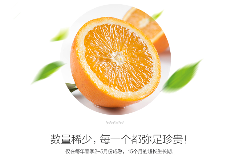 Authentic Zigui Lun late sweet oranges, fresh seasonal fruits, high-quality large fruits, 15-18 pieces, gift box, 10 jins, net 8.8 jins | togel onlinebet com, situs ceme online terbaik, hoki268(图4)