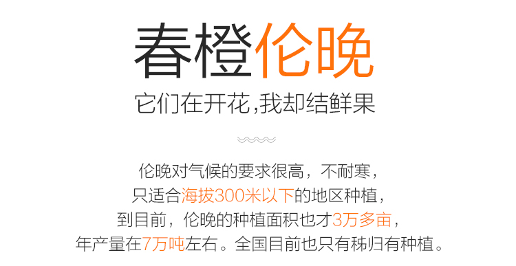 Authentic Zigui Lun late sweet oranges, fresh seasonal fruits, high-quality large fruits, 15-18 pieces, gift box, 10 jins, net 8.8 jins | togel onlinebet com, situs ceme online terbaik, hoki268(图3)