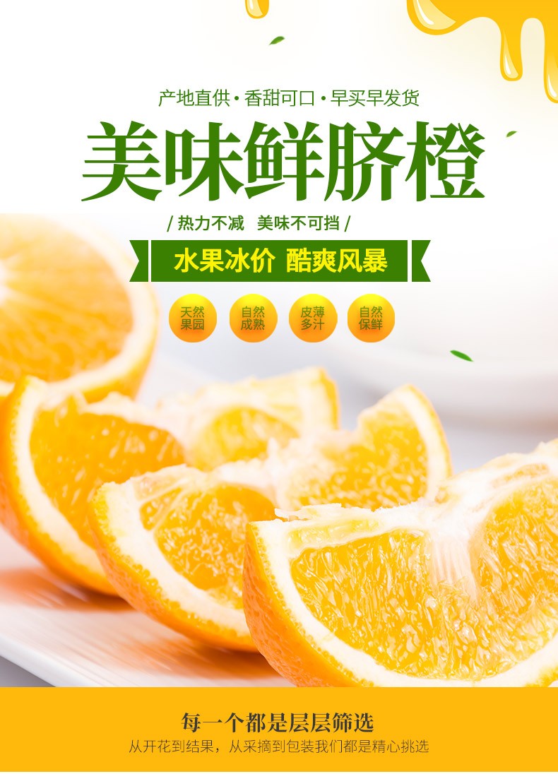 Zhenhan Bonong Jiangxi Gannan navel orange fresh seasonal navel orange Gannan summer orange boutique 20 catties gift box fruit diameter 85-90 (net weight above 18.5 catties) | slot infini88 bonus 100(图1)